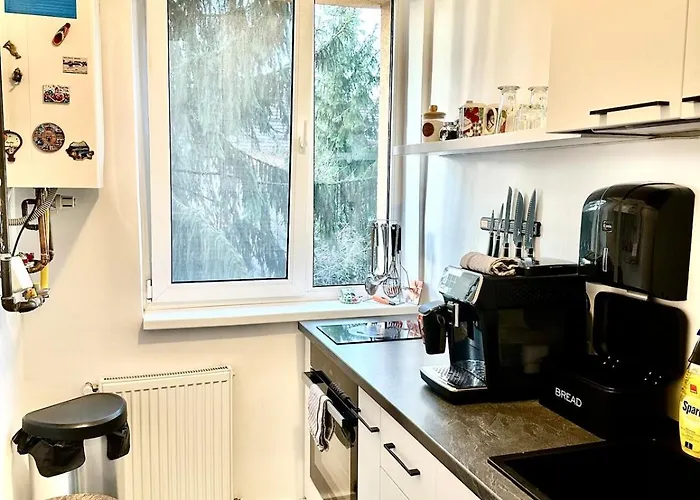 Colourful Cozy For Happy Trips Brasov