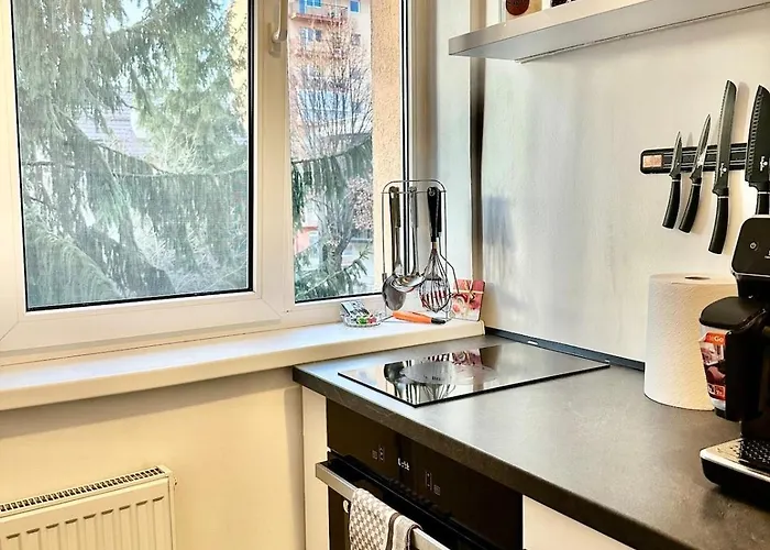 Colourful Cozy For Happy Trips * ブラショフ